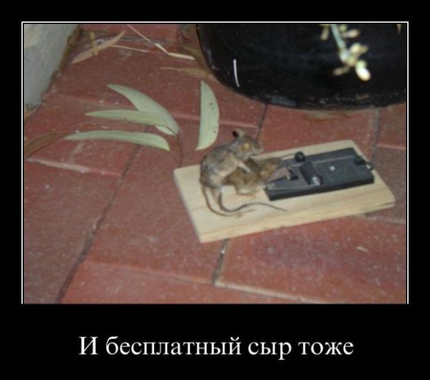 190128_425661.jpg