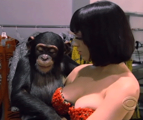 gif-003H.gif
