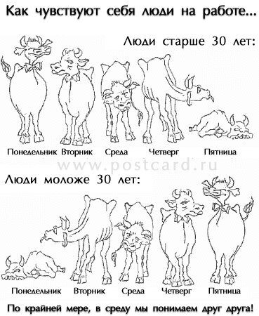 8Mapjf2AuTQ.jpg