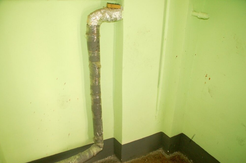 c9803-1401945445.jpeg