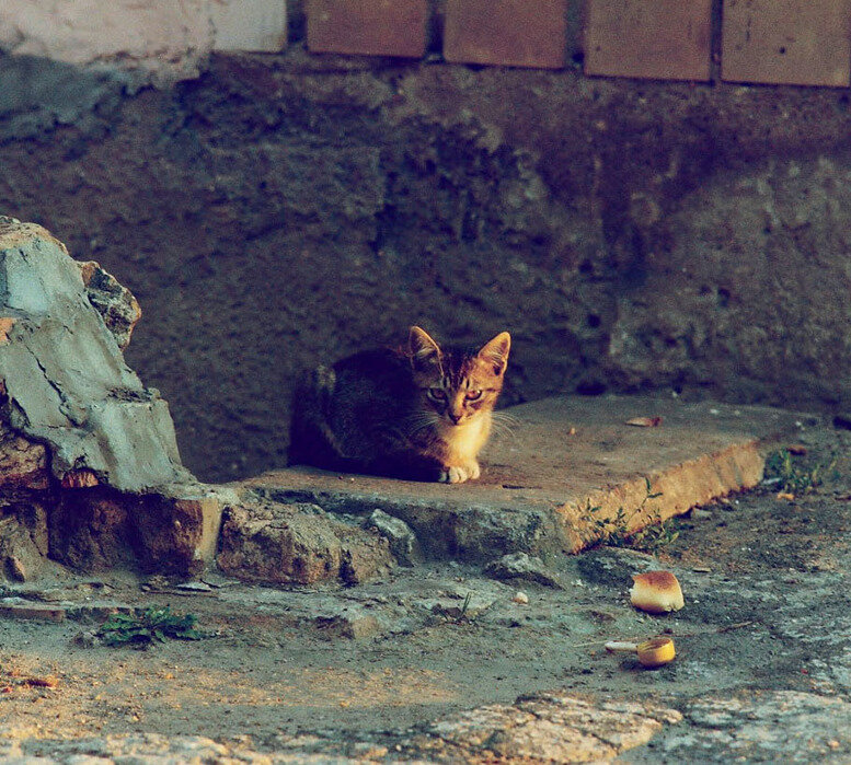 001_38_3.jpg