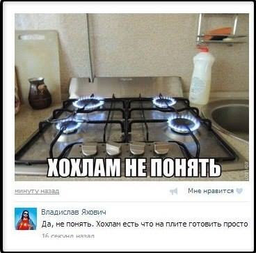 1249628_original.jpg
