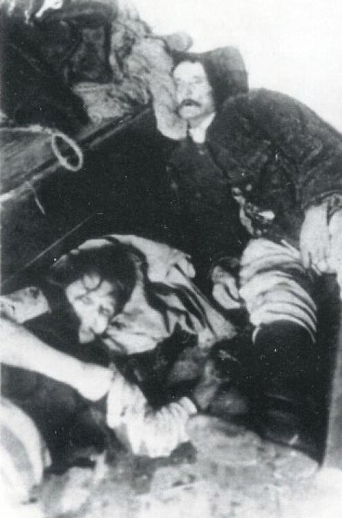 290675_original.jpg
