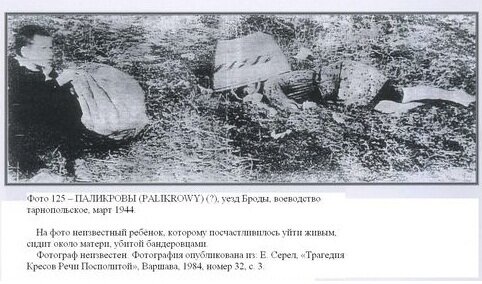72271_600.jpg