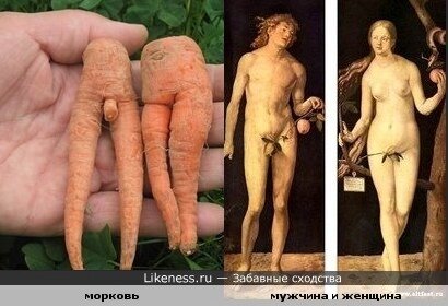 carrot_man_Woman.jpg