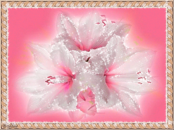 29533377_lilii1in.gif