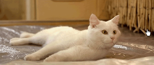 70677215_g2.gif
