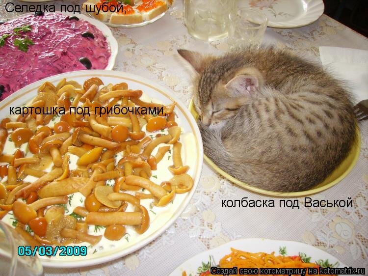 j-.jpg