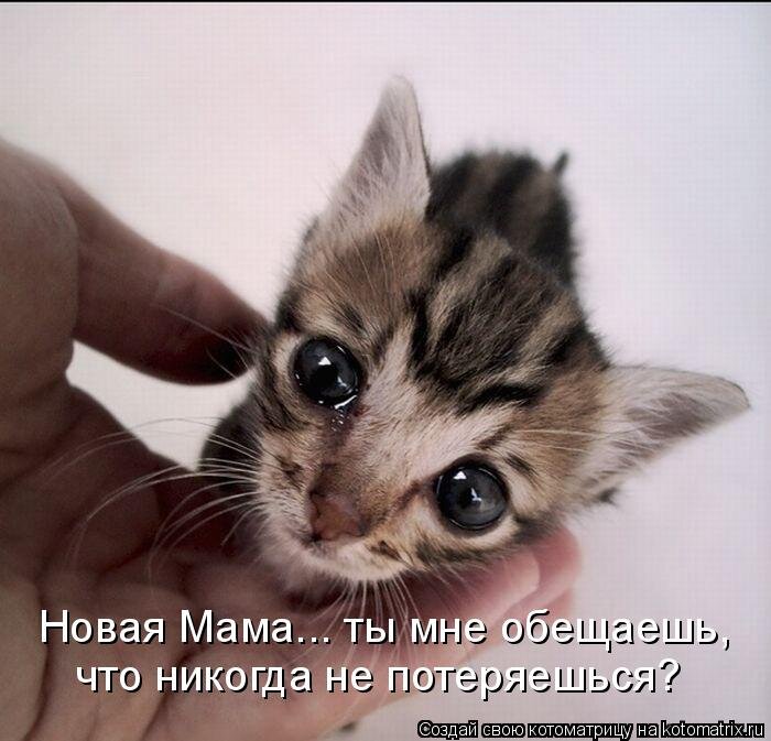 934828.jpg