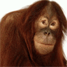 630191436.gif