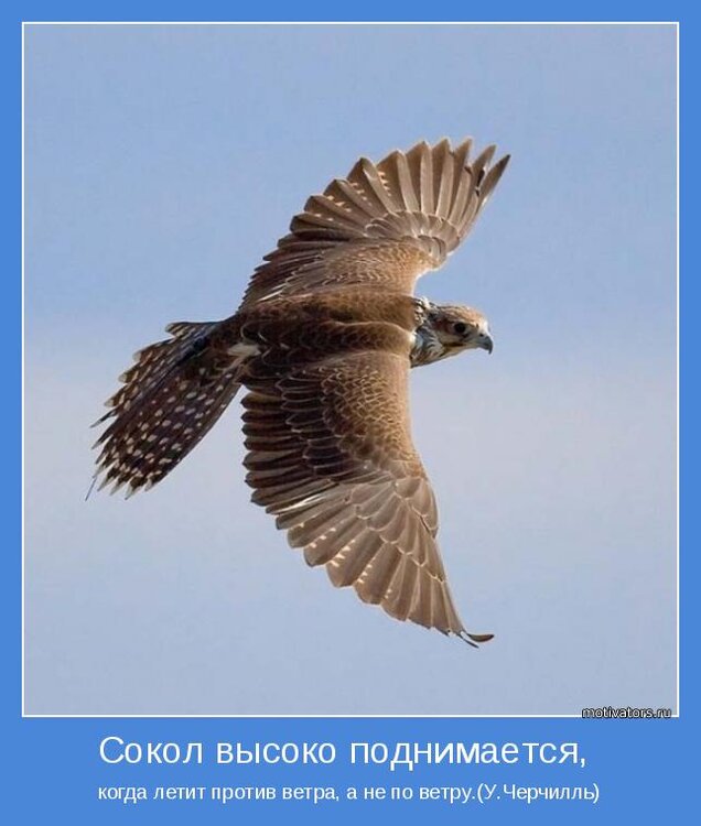 motivator-38604.jpg