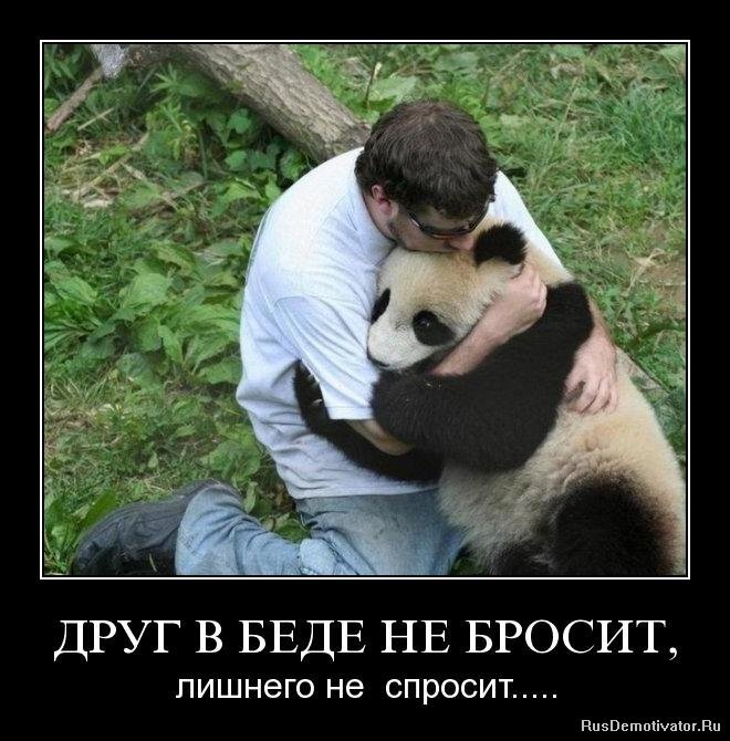 1280564760_rm6xsgu856kp.jpg