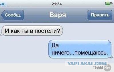 3438115.jpg