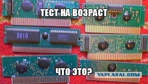 2928556.jpg