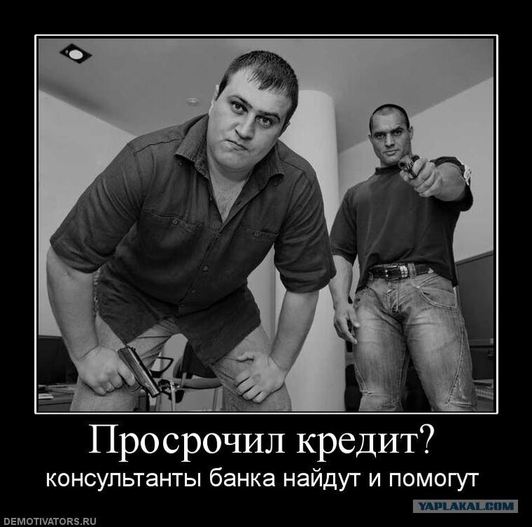 2407738.jpg