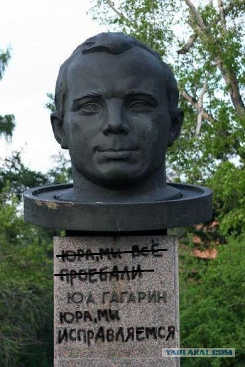 3003498.jpg