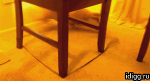 gifsobakenpesochnica718954.gif