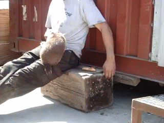 prikormlennyi_surok_yapfiles.ru_3.gif