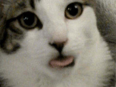 yerotikaryzhenkayasiskimilota494103.gif