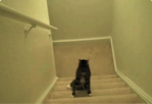 1390912055_1813628159.gif