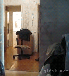 1391063852_830266116.gif