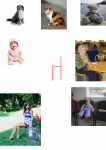 d13fdcb78460612c6ba475cc4ad07586.png