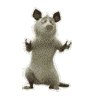 sKp7S.gif