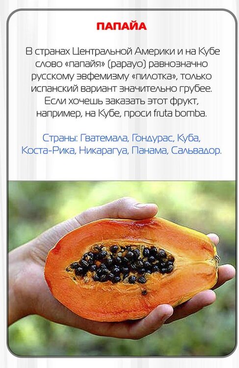 russian_words_03.jpg