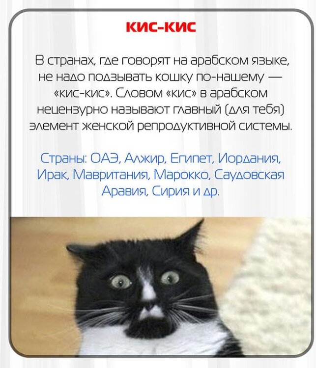 russian_words_06.jpg