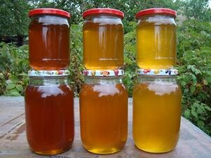 post-11240-1442173415_thumb.jpg