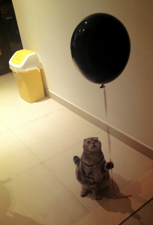 funny_animals_20120618_01069_047.jpg