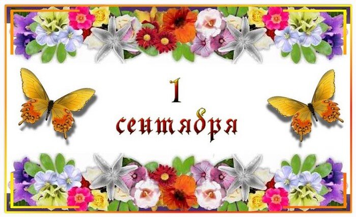 497332_sen_1.jpg