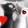 DиkаЯ_k0шkА♥