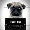Парамон