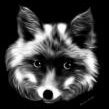 fox.