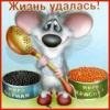 mikkyZ