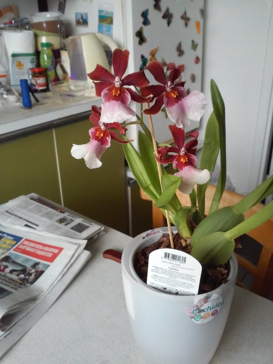 20150129_141856.jpg