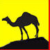 dinamel