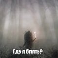 tromanov534@gmail.com
